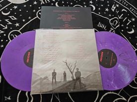 Image of DESTROYING THE VAMPIRE PURPLE 2LP VINYL LIMITED EDITION