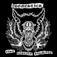 The Domestics "East Anglian Hardcore" LP