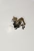 CRUMPLED RING Image 2