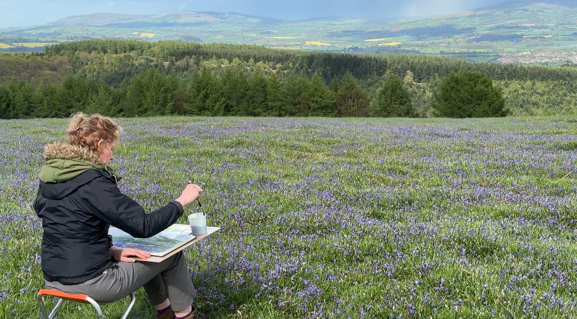 Image of Sketching Day - Saturday 11th May 2024 - "Blue Bells and Birdsong" - High Vinnalls, Shropshire