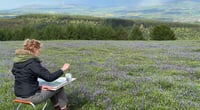 Sketching Day -  Saturday 11th May 2024 - "Blue Bells and Birdsong" - High Vinnalls, Shropshire