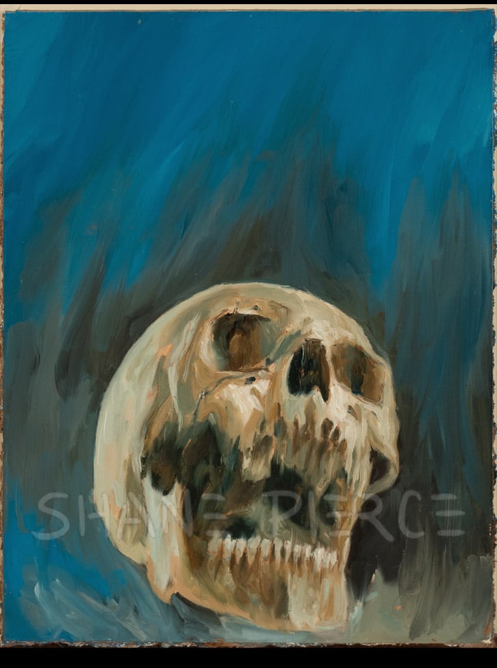 Image of Skulled Up Air