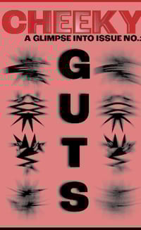 Image 1 of CHEEKY “GUTS” preview zine