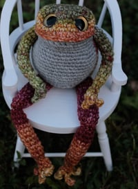 Image 4 of Finnegan the Frog