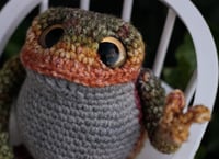 Image 1 of Finnegan the Frog