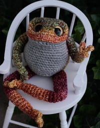 Image 2 of Finnegan the Frog