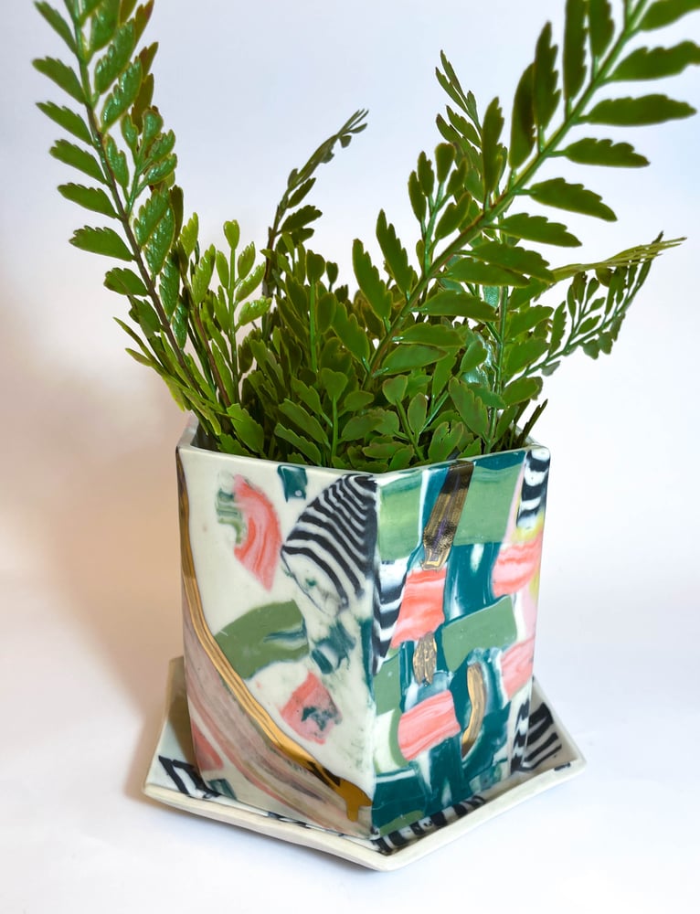 Image of Hexagonal Sage and Coral Planter