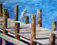 "Great Blue Heron" - Prints