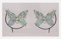 Butterfly Pasties 
