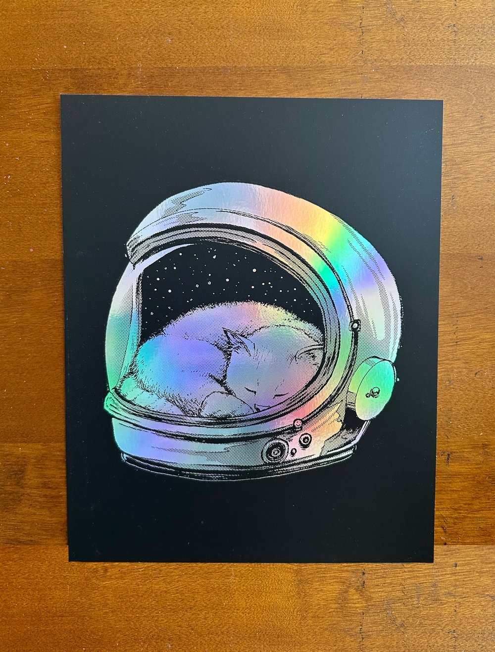 Cuddled Up In Space Holographic Rainbow Foil