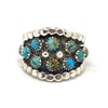 Turquoise Rock Ring (Size 6)