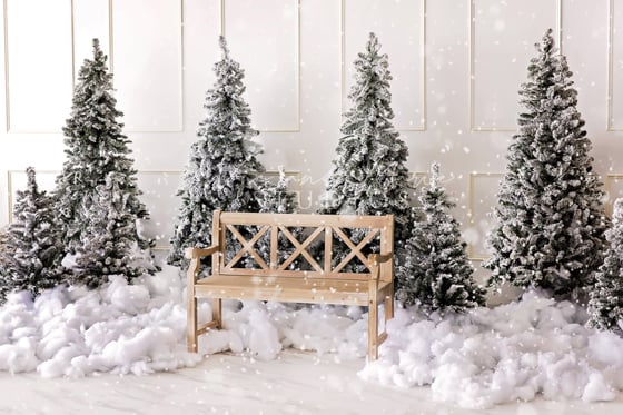 Image of Romantic Christmas Tree Farm [white studio]