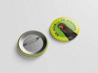 Be Nice to Pigeons Pin Back Button 1.5"