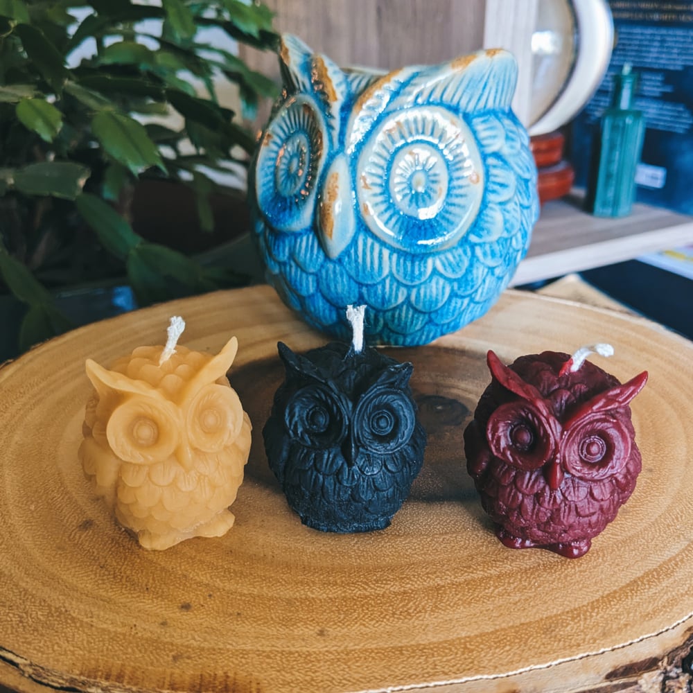 Image of Owl Candle