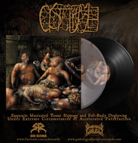 Cystgurgle – Exquisite Macerated Tissue Slippage And Full​-​Body Degloving...LP