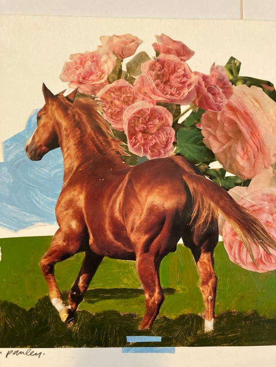 Image of all Horse Collages