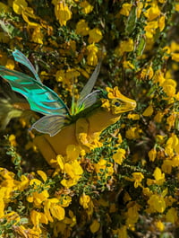 Image 4 of Gorse Dragon