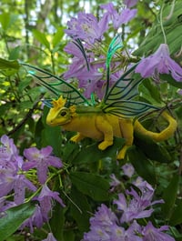 Image 3 of Gorse Dragon