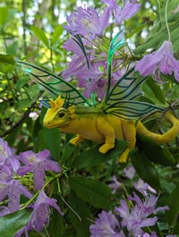 Image 1 of Gorse Dragon
