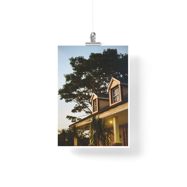 Jungle Home - Fine Art Print