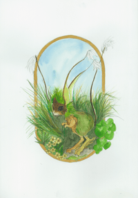Image 3 of As the Ferns Unfurl Postcard Set