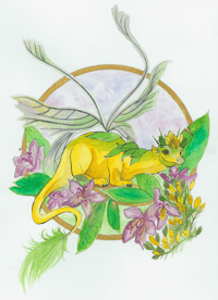 Image 4 of As the Ferns Unfurl Postcard Set
