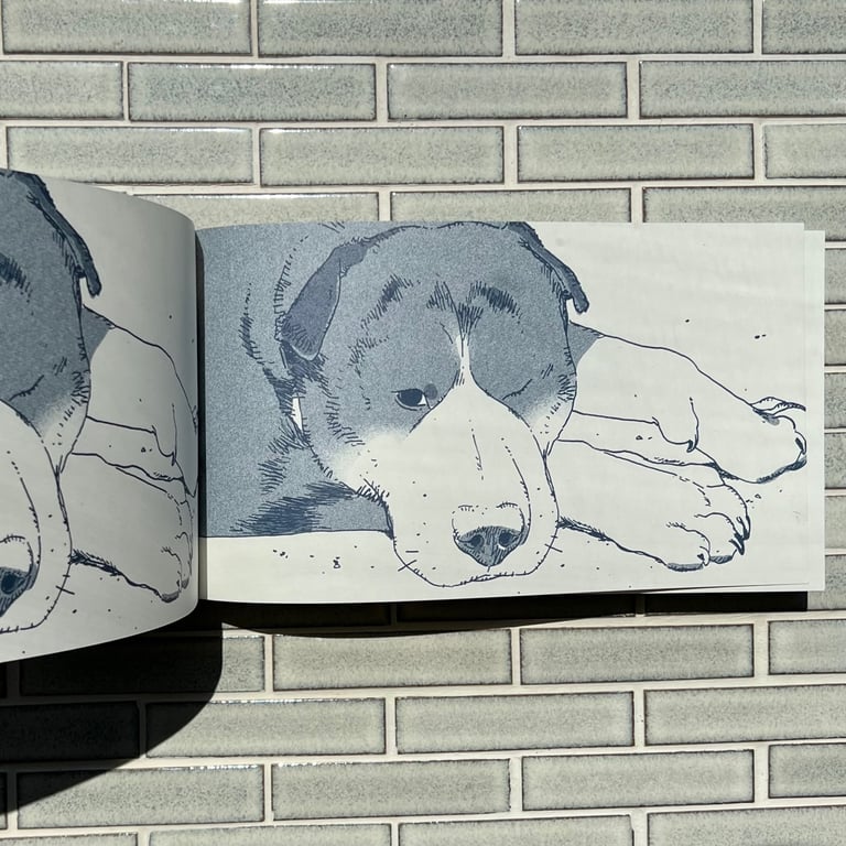 Frog in the Fall by Linnea Sterte Image 3