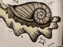 5" x 7" Giclee Art Print - "Tan Snail"