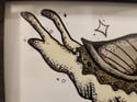 5" x 7" Giclee Art Print - "Tan Snail"