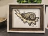 5" x 7" Giclee Art Print - "Tan Snail"