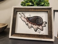 Image 1 of 5" x 7" Giclee Art Print - "Pink Snail"