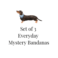 Mystery Set of 3 Over-the-Collar Everyday Dog or Cat Bandanas 