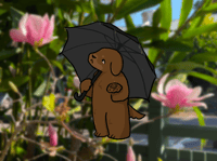 Image 1 of Rainy clear Sticker