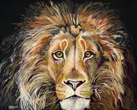 Image 2 of "ALEX"