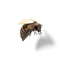 Image 3 of Bee 2 by Calvin Ma