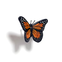 Image 3 of Butterfly (Monarch) by Calvin Ma