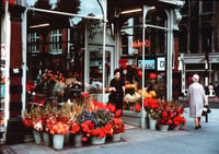 Stephen's Green 1969 