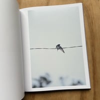 Image 3 of Rinko Kawauchi - Des Oiseaux (Signed)