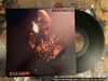 Sandcastle - Wild Legend 12" LP (SM034)