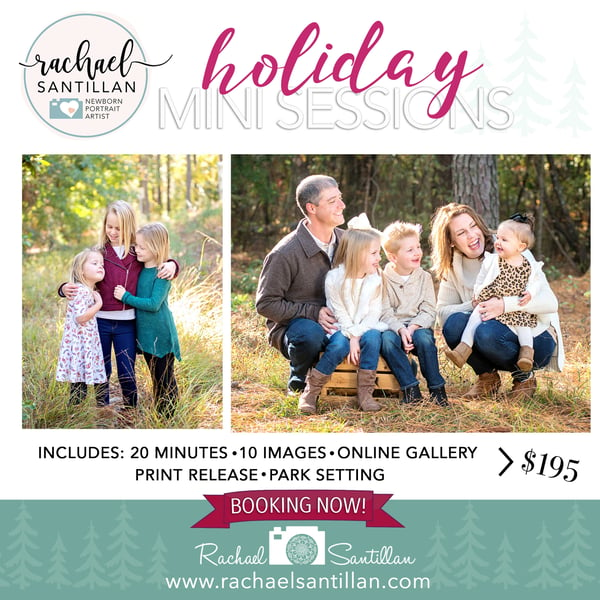 Image of Holiday Park Mini Sessions