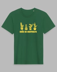 Image 2 of Cacti: Green - Yellow