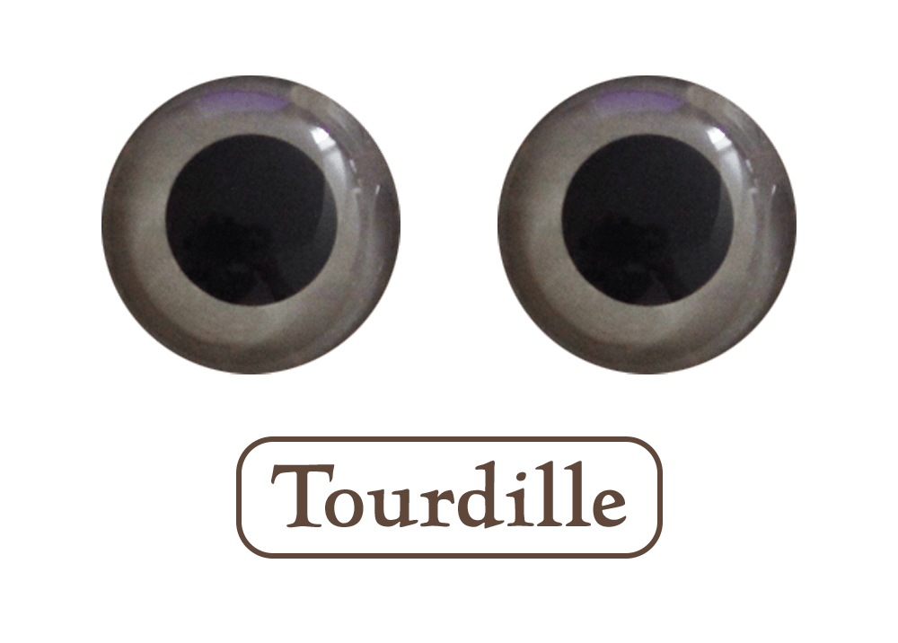 Image of Animal eyes