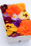 Homegrown Edible Flower Punnet 