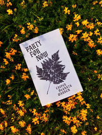 Image 1 of Party For Now