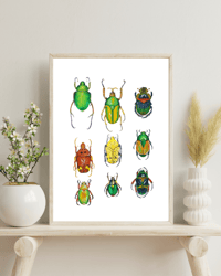 Image 2 of Coleoptera study Watercolor Illustration PRINT 