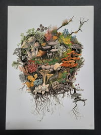 Image 1 of Fungi Raft giclee fine art print