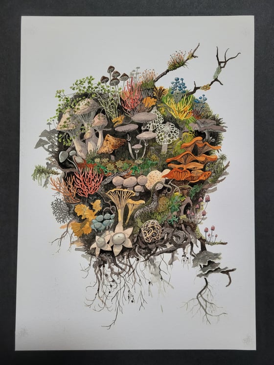 Image of Fungi Raft giclee fine art print