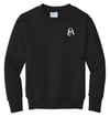  Port & Company® Youth Core Fleece Crewneck Sweatshirt