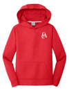 Port & Company® Youth Performance Fleece Pullover Hooded Sweatshirt (FRIDAY ONLY ITEM)