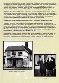 Image 3 of The Occultaria of Albion Vol 12 - The Black Birch Inn
